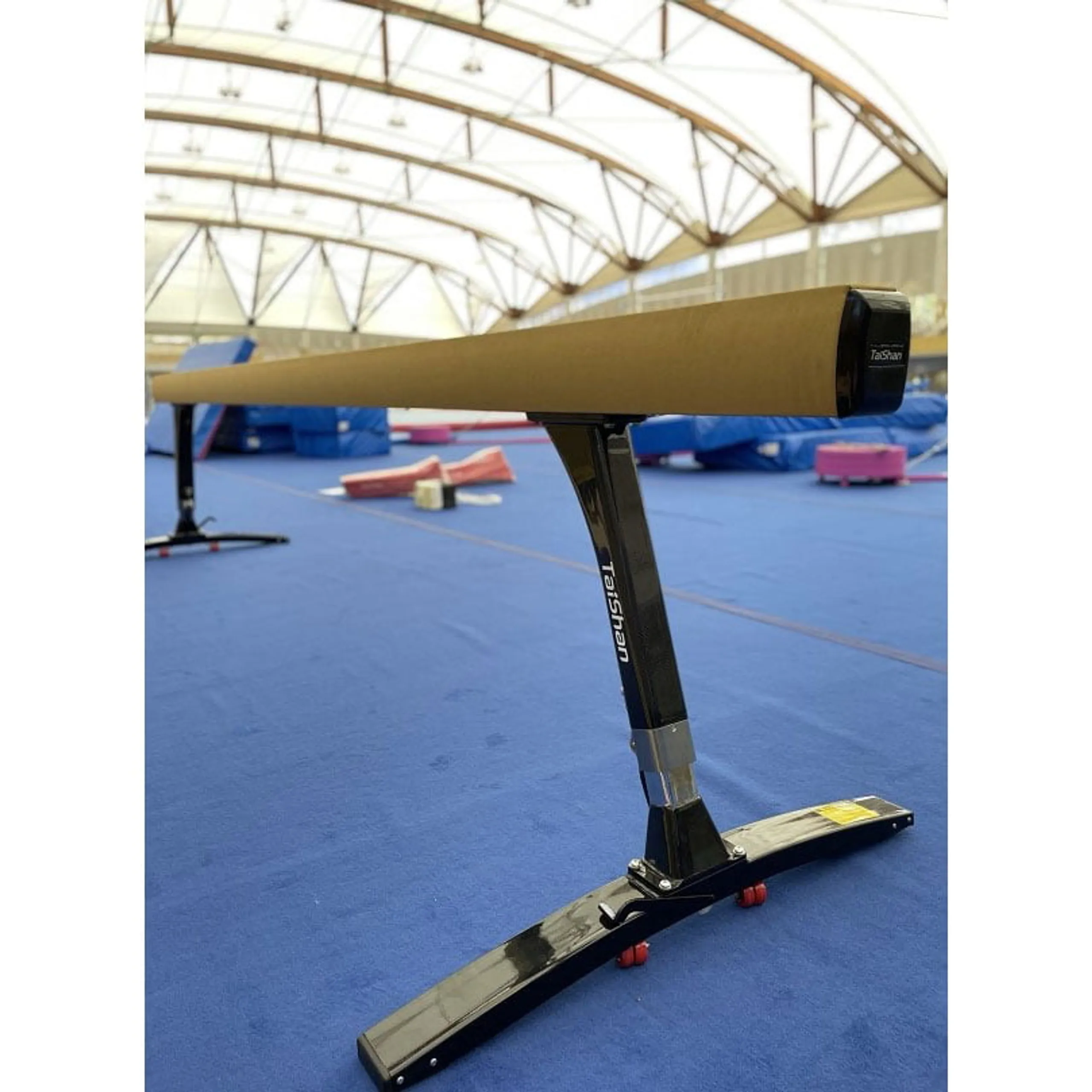 Taishan Carbon Fibre Balance Beam