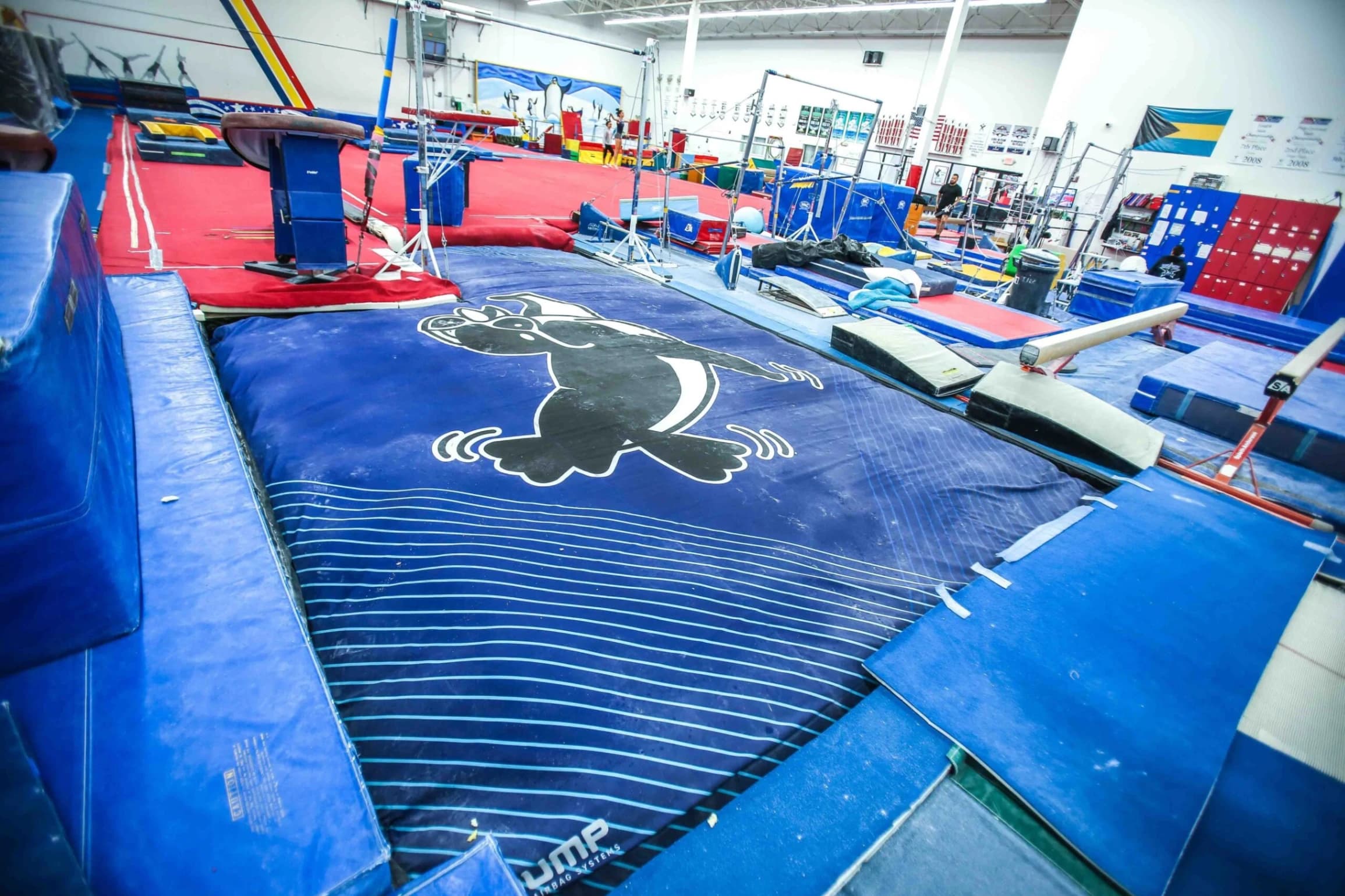 Large blue landing mat with a black-and-white cartoon penguin in the foreground of a gymnastics gym with red floor and scattered equipment.